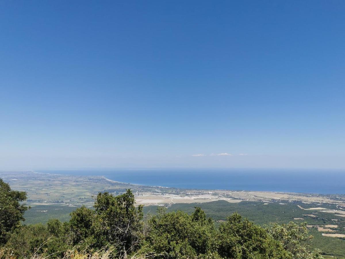 Villa Olympia Paralia Katerinis Luaran gambar
