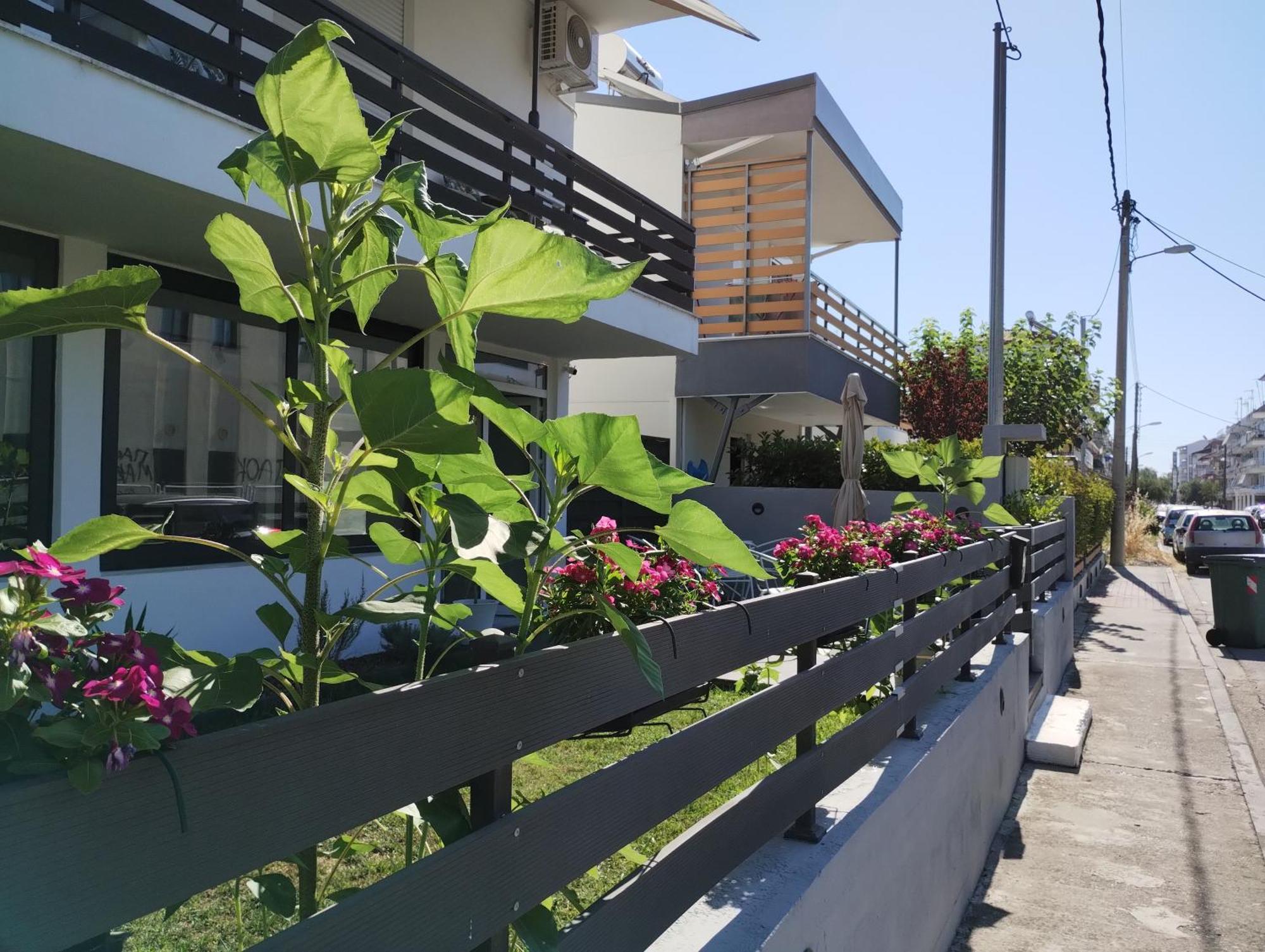 Villa Olympia Paralia Katerinis Luaran gambar
