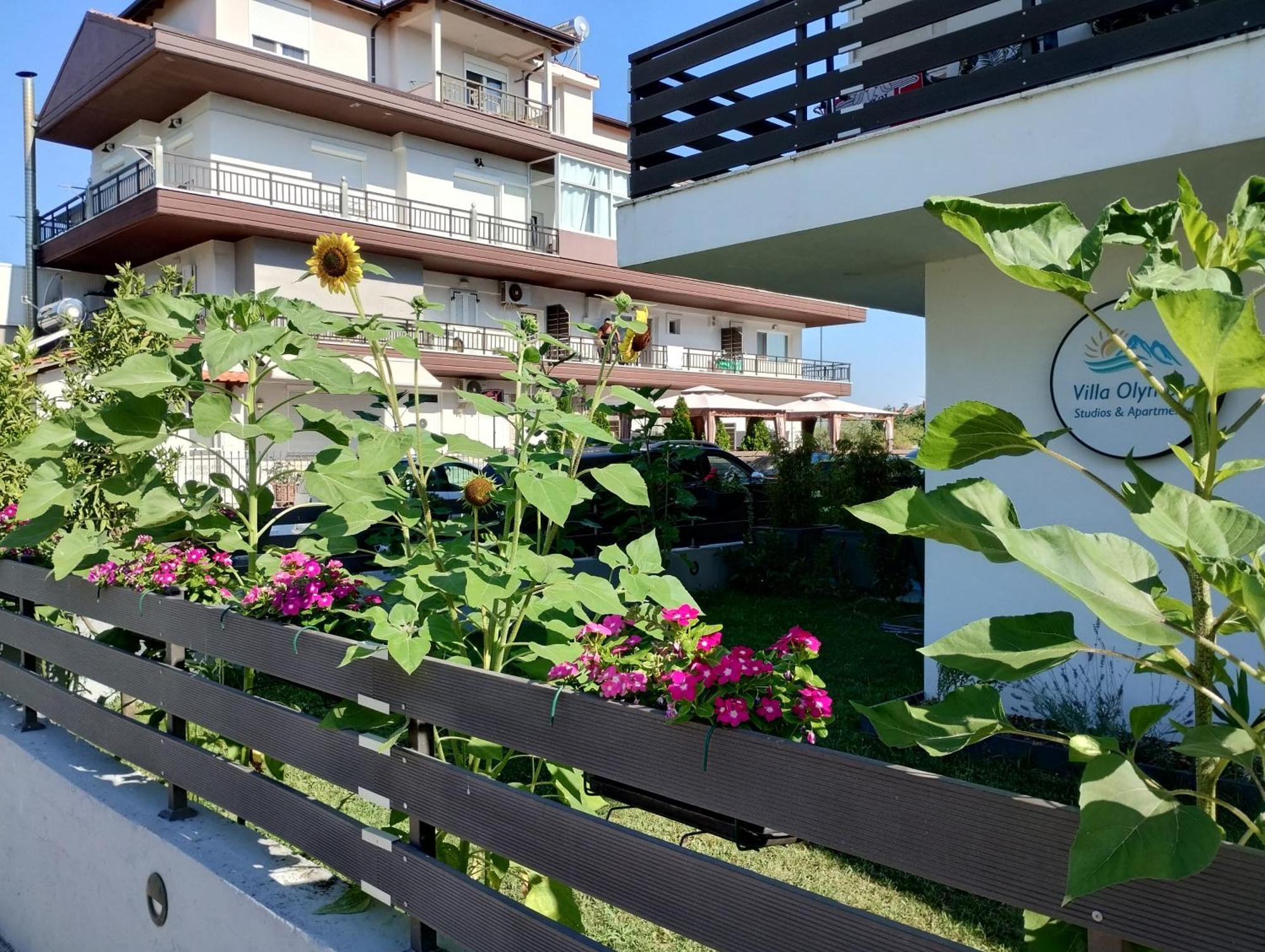 Villa Olympia Paralia Katerinis Luaran gambar